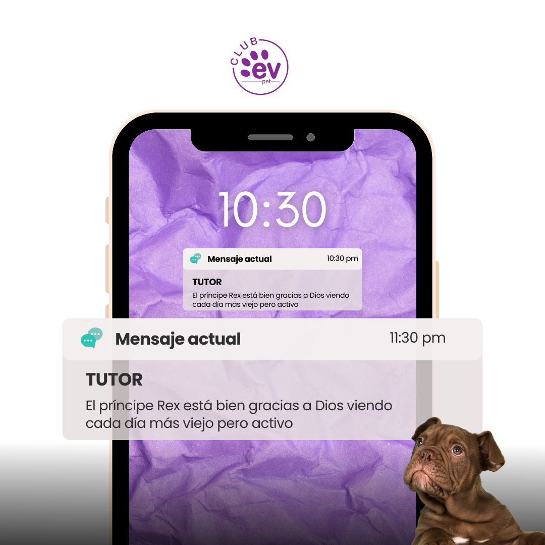 Testimonio de Juan Martínez
