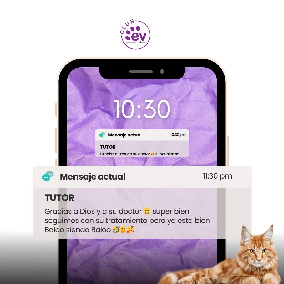 Testimonio de Ana Gómez