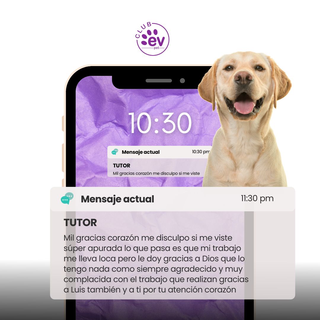 Testimonio de Sofía Fernández
