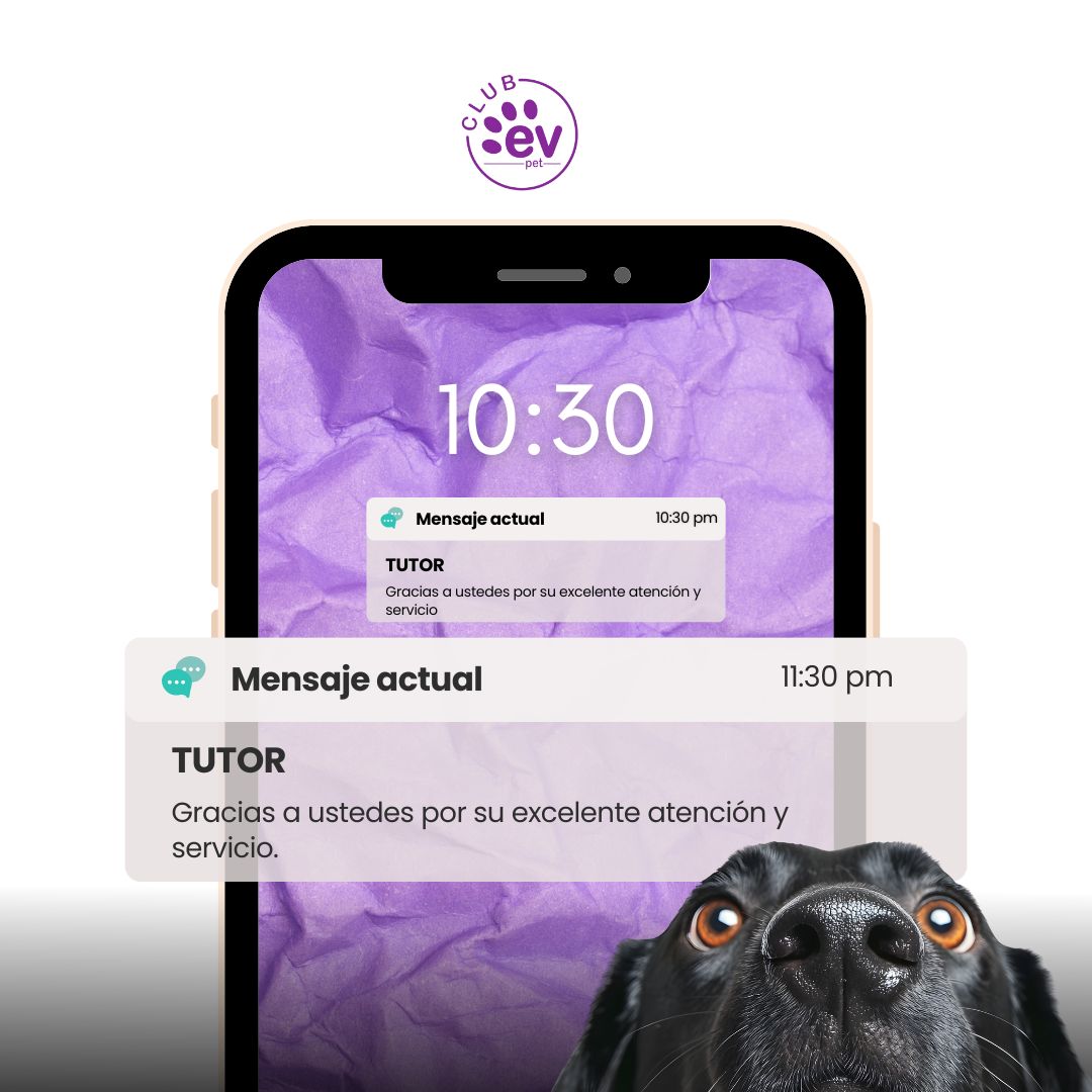 Testimonio de Juan Martínez