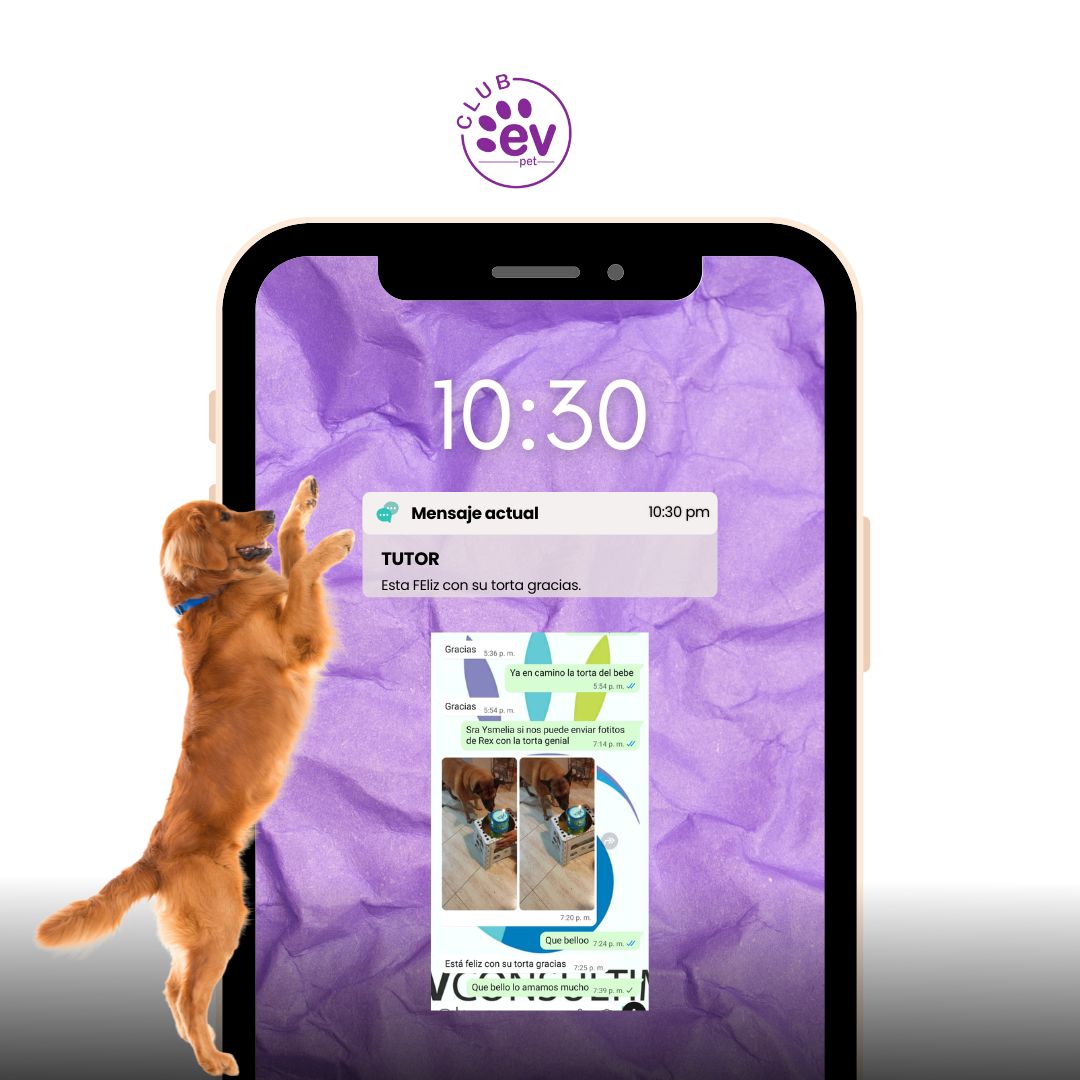 Testimonio de Maria Hernandez