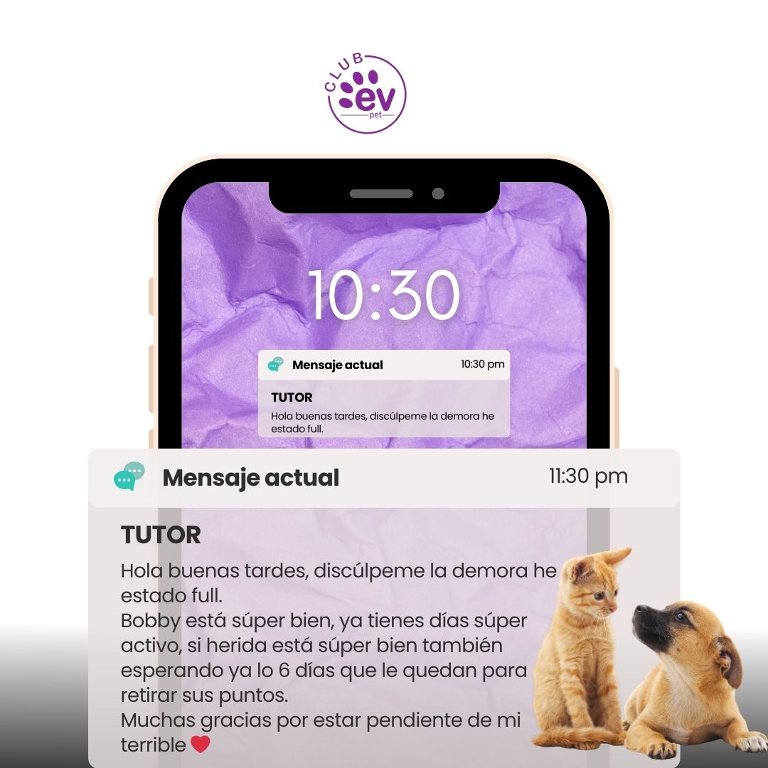 Testimonio de Jose Gomez