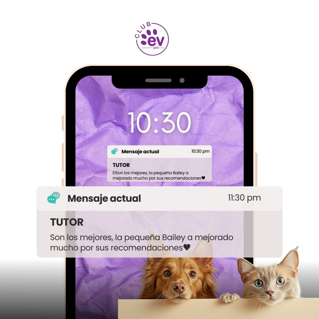 Testimonio de Maria Rodriguez